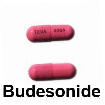 Budesonide Formoterol Side Effects Budesonide And Formoterol Inhaler Side Effects Discount