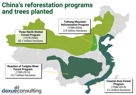 Chinas Reforestation Programs And Trees Planted
