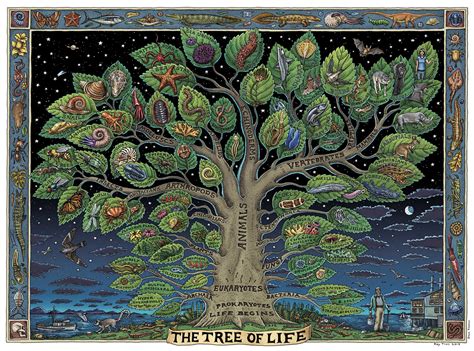 Tree Of Life Fine Art Poster Troll Art