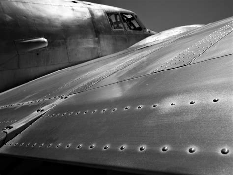 Metal Wing Peter Adams Photography