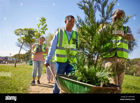 Park Planting Hi Res Stock Photography And Images Alamy