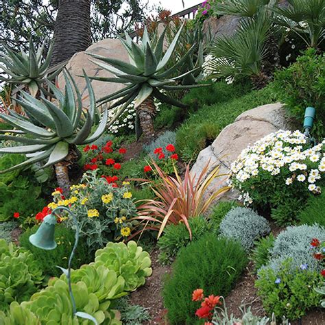 California Friendly Garden Design Ideas In 2021 Garden Design