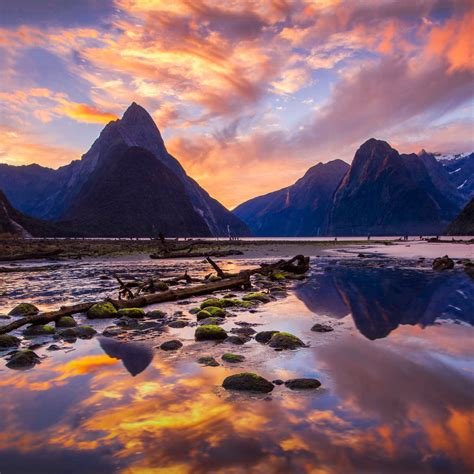 Milford Sound At Sunset Wall Art Photography
