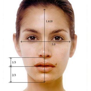 Computer Generated Facial Measurements For Orthodontics Telegraph