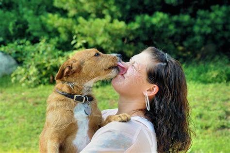 Young Adult Woman Getting Licked By Her Dog Stock Image Image Of