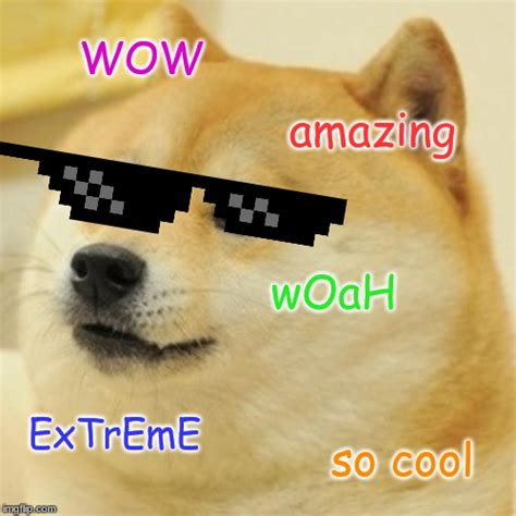 Doge Memes And S Imgflip