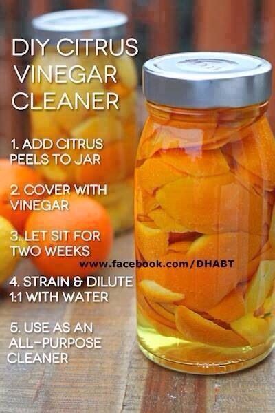 Homemade 409 multi purpose cleaner recipe: DIY citrus vinegar multi purpose cleaner | Cleaning ...