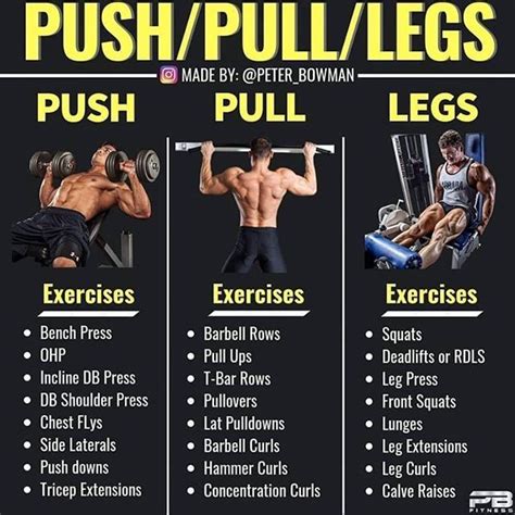 93 Minute How To Do A Push Pull Legs Split For Workout Everyday
