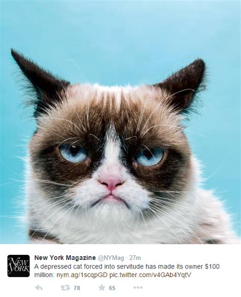 Grumpy Cat Has Earned Her Owner Nearly 100 Million In 2 Years Foxy