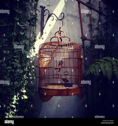 Hanging Bird Cage Hi Res Stock Photography And Images Alamy