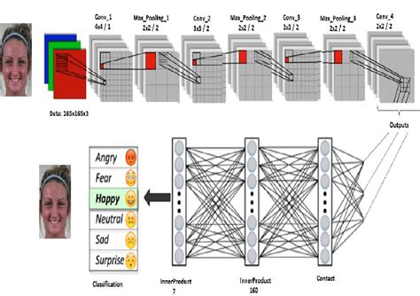 Deep Convolutional Neural Network Training For Cell Classification Vrogue