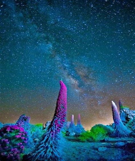 Milky Way Teide National Park Spain Milky Way Nature