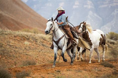 Cowgirl At Full Gallop With Horses In Tow Posters And Prints By Corbis