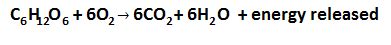 Maybe you would like to learn more about one of these? Respiration and Metabolism - GCSE Biology Revision