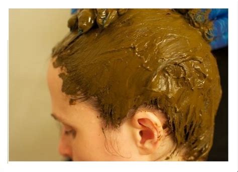 Shagun Gold Natural Black Henna Hair Dye Powder Herbal Henna Hair Dye Rs 450 Kg Id 16692621148