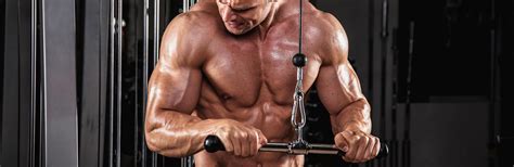 4 Najważniejsze ćwiczenia Na Triceps Fabryka Siły