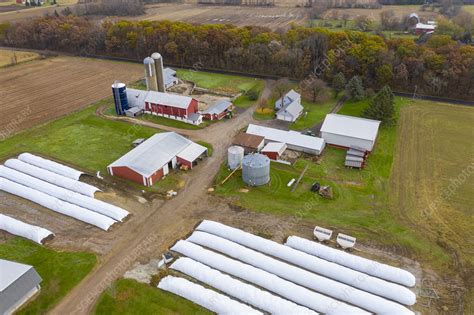 Dairy Farm Wisconsin Usa Stock Image C Science Photo