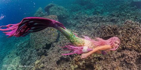 Mermaids Are Saving Our Oceans Mermaids Of Earth