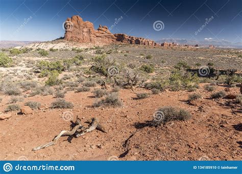 Rock Formation And Desert Brush Arches National Park Moab Utah Stock