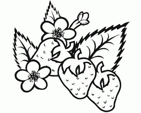 16.06.2016 · printable shopkins cheeky chocolate and strawberry kiss coloring page. Free Coloring Pages Printable: Strawberry Coloring Pages ...