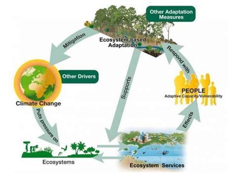 Ecosystem Based Adaptation Resource Iucn