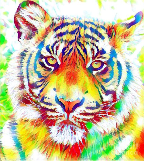 Best 50 Colorful Tiger Pictures Cool Wallpaper