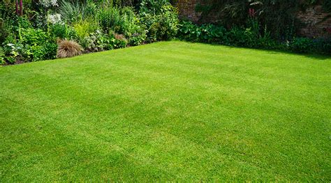 How To Create And Maintain The Perfect Lawn