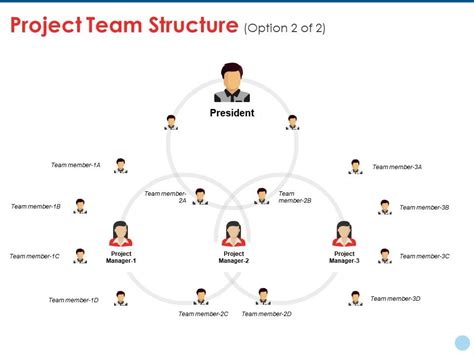 Project Team Structure Org Chart Powerpoint Template