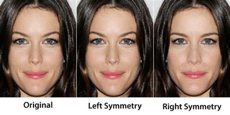 Face Symmetry Of Celebrities Physiognomy Face Symmetry Face Study