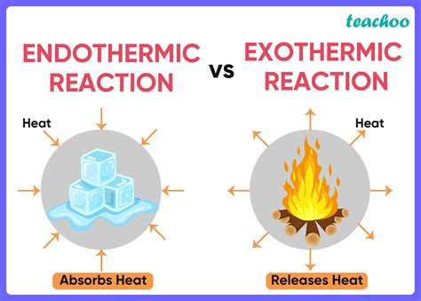 Endothermic And Exothermic Reaction Examples