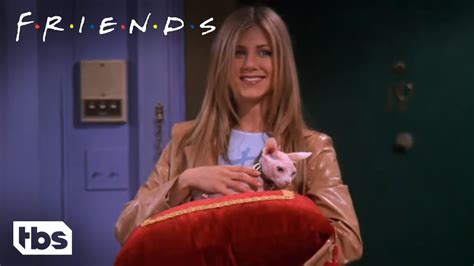 Friends Rachel Buys An Expensive Naked Cat Season Clip TBS YouTube