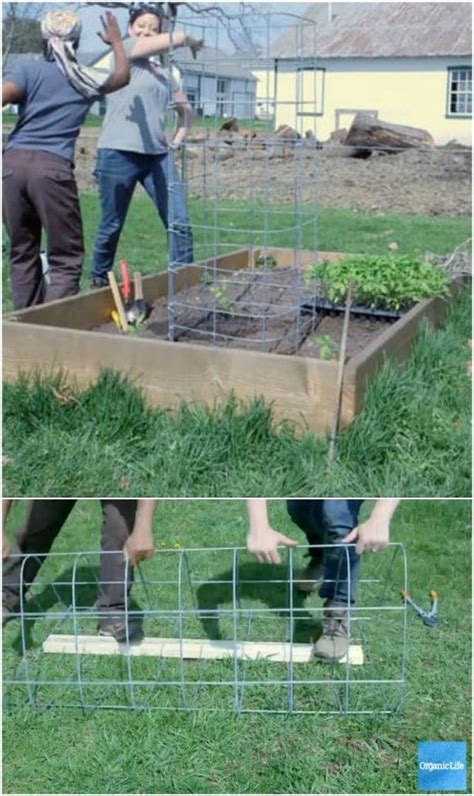 15 Diy Plant Supports And Cages You Need In Your Summer Garden Diy