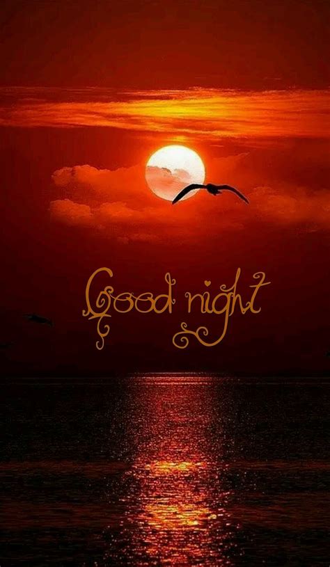 Pin by Patricia Hamm on Good night | Good night image, Beautiful good night images, Good night 