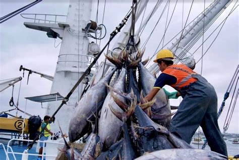 Dirección De Pesca Industrial Subsecretaria De Recursos Pesqueros