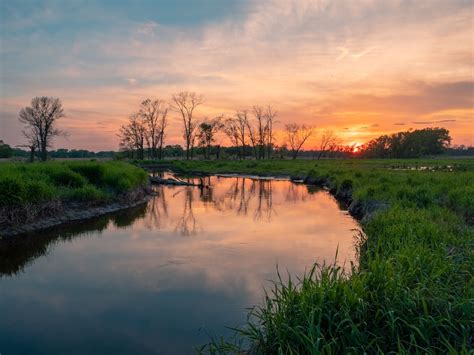 Best Wetland Pictures Hd Download Free Images On Unsplash