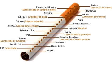 El Cigarrillo Un Catálogo De Venenos ~ Malditanicotina ~