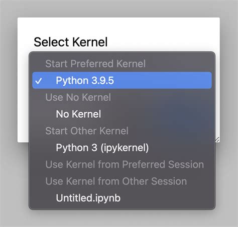 Connection Problem Of The Python Kernel With Jupyter In Rstudio Workbench Stack Overflow
