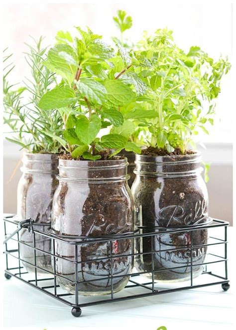 Most Creative Ideas For Styling Your Home With Indoor Herb Gardens