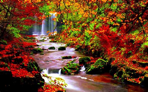 Autumn Scenery Stream River In Autumn Trees With Red Leaves Falling
