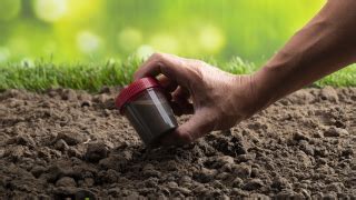 Das frühjahr ist neben dem herbst die beste zeit, um den garten zu kalken. Bodenanalyse: Mit Bodenproben zum perfekten Garten - DCM
