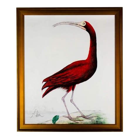 Scarlet Ibis Acrylic Painting On Canvas By Y Olson In 2020 Acrylic