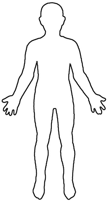 The use of anatomy jargon is no different than the way computer programmers use various words to describe code (or even the coding itself for that matter), or teenagers using chopped. Human Body Outline Printable - Cliparts.co