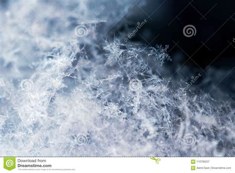 Close Up Of Snowflakes Snow And Ice Crystals Stock Image
