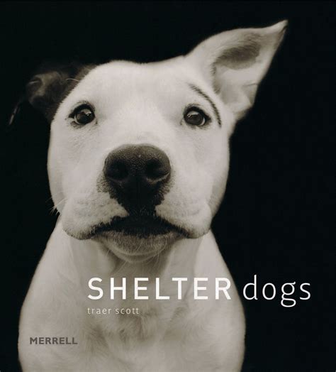 Shelter Dogs Book Shelter Dogs Dog Books Diy Dog Stuff