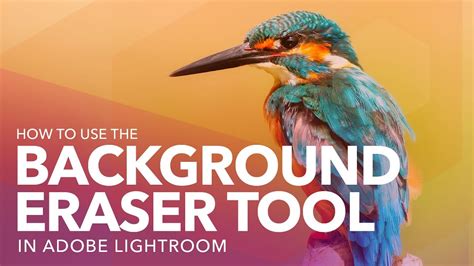 How To Use The Background Eraser Tool In Adobe Photoshop