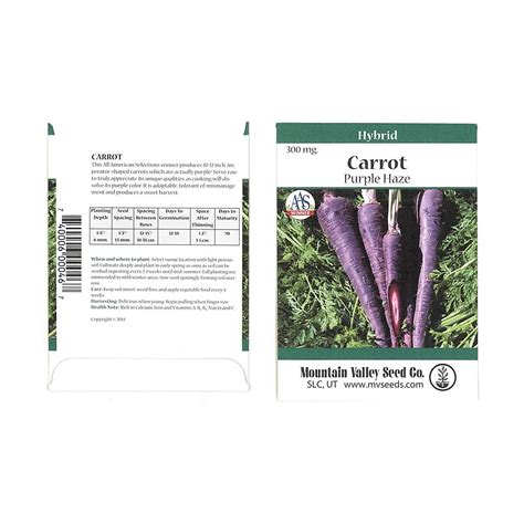 Purple Haze Hybrid Carrot Seeds 300 Mg Packet Non Gmo