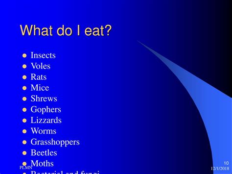 A Lab Activity Constructing a food web - ppt download