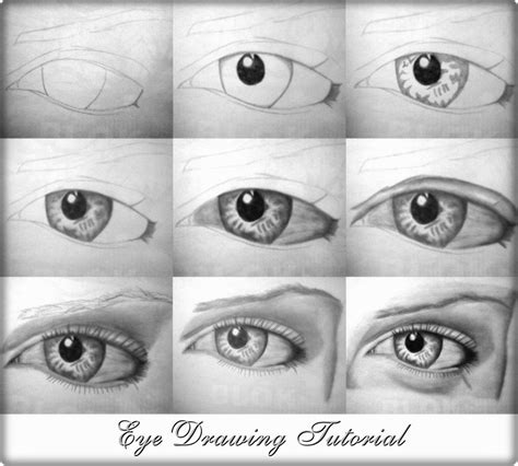 How To Draw A Realistic Eye Step By Step For Beginners