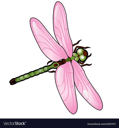 Cartoon Dragonfly With Pink Wings Isolated Vector Image
