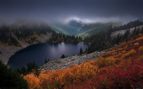 Landscape Nature Fall Colorful Mountain Lake Pine Trees Mist